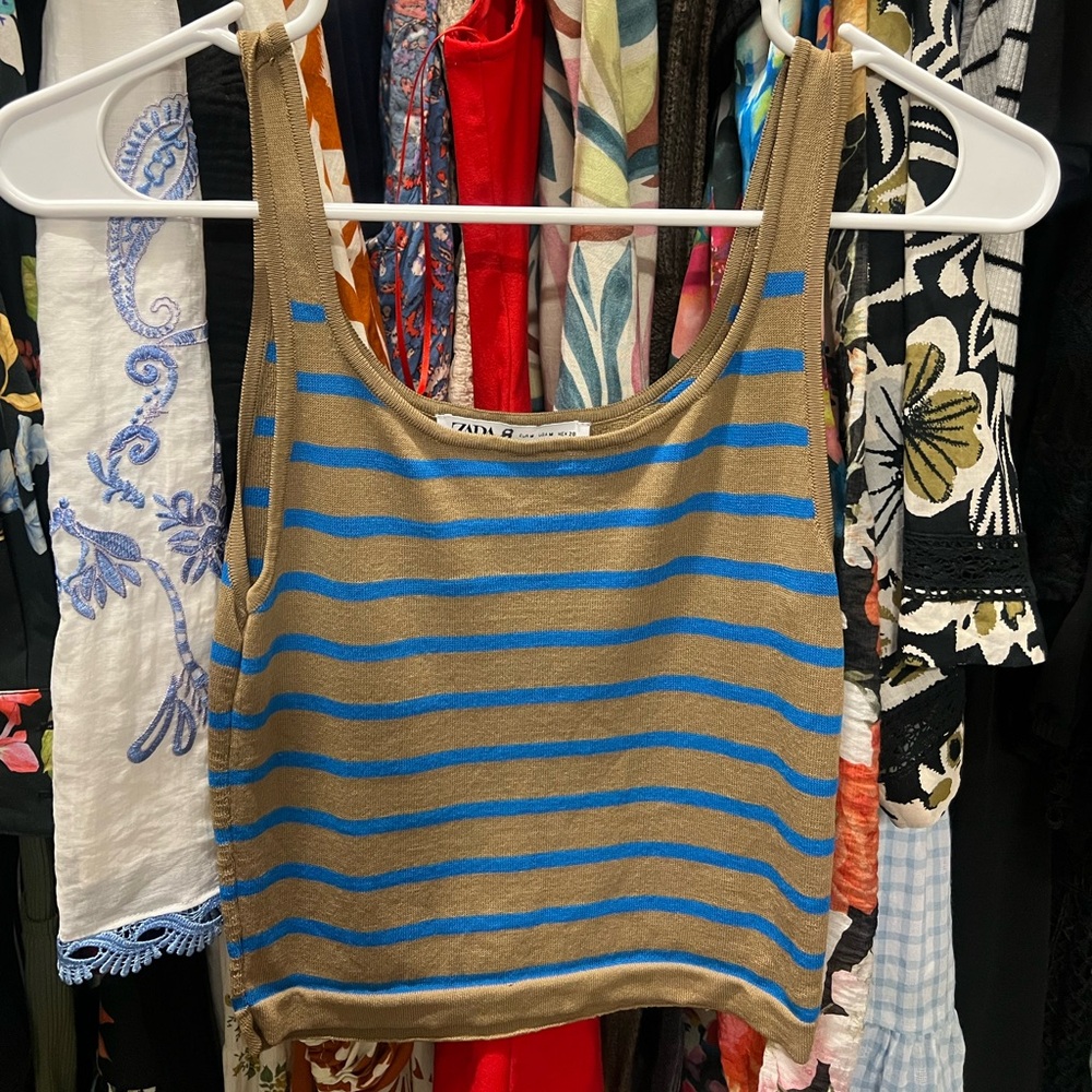 Zara Brown & Blue Striped Tank Top